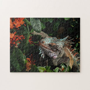 Dier Iguana Exotic Reptile Pet Lizard USVI Legpuzzel