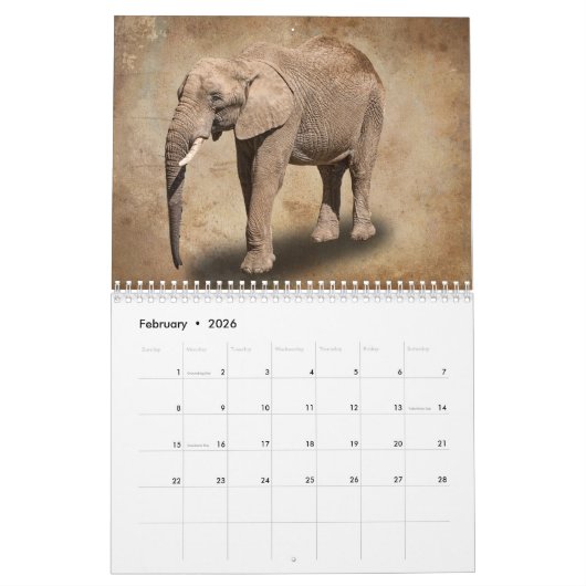 DIER KALENDER (Feb 2026)