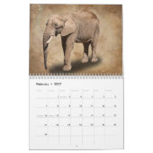 DIER KALENDER (Feb 2027)