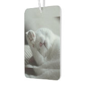 Dier, kat, katachtige luchtverfrisser (Links)