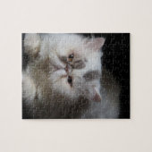 dier, kat, wit, huisdier, kitten, geïsoleerd, scha legpuzzel (Horizontaal)