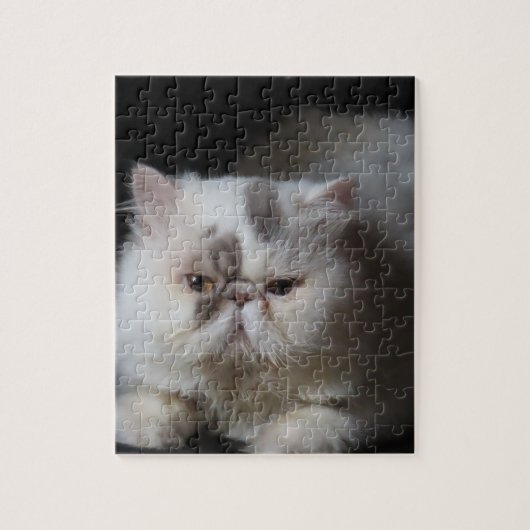 dier, kat, wit, huisdier, kitten, geïsoleerd, scha legpuzzel (Verticaal)