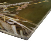 Dier - Katten - Kattendutje Snijplank (Hoek)