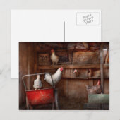 Dier - Kip - De eend is een spion Briefkaart (Voorkant / Achterkant)