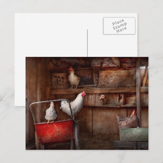 Dier - Kip - De eend is een spion Briefkaart (Voorkant / Achterkant)