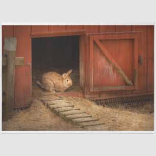 Dier - Konijn - Eieren maken voor de ooster Tissuepapier