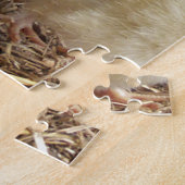 dier, kuiken, kip, boerderij, schattig, vogel, bab legpuzzel (Zijkant)