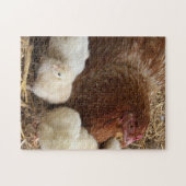 dier, kuiken, kip, boerderij, schattig, vogel, bab legpuzzel (Horizontaal)