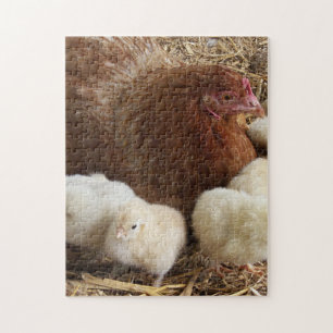 dier, kuiken, kip, boerderij, schattig, vogel, bab legpuzzel