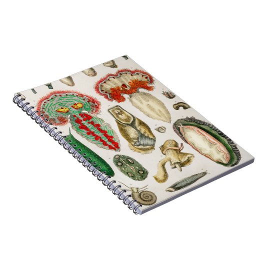 Dier met Tentacles Illustratie Notitieboek (Rechterzijde)