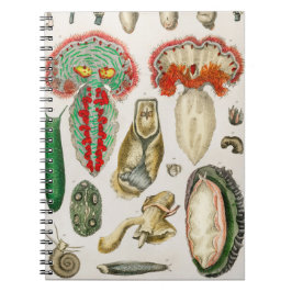 Dier met Tentacles Illustratie Notitieboek