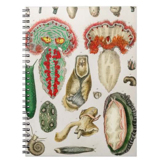 Dier met Tentacles Illustratie Notitieboek (Voorkant)