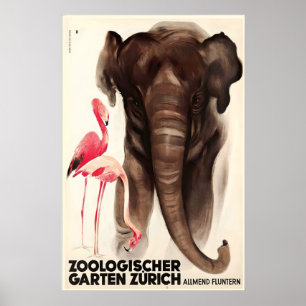 Dier olifant flamingo Zwitsers Zwitserland Zürich Poster