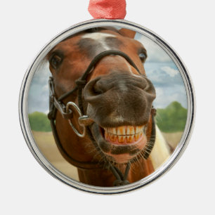Dier - Paard - Ik heb eindelijk mijn beugel af Metalen Ornament