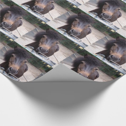 Dier, paard, Pony Cadeaupapier (Hoek)