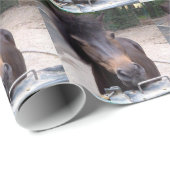 Dier, paard, Pony Cadeaupapier (Rol Hoek)