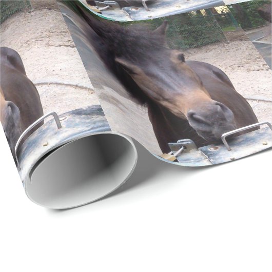 Dier, paard, Pony Cadeaupapier (Rol Hoek)