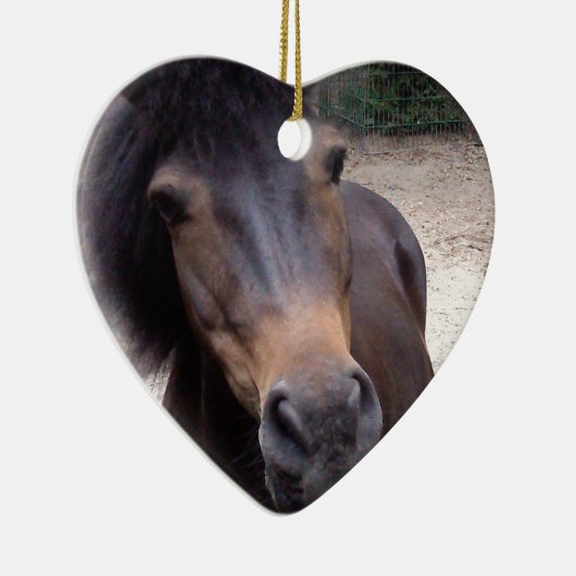 Dier, paard, Pony Keramisch Ornament (Rechts)