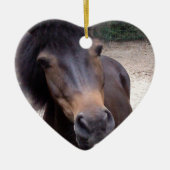 Dier, paard, Pony Keramisch Ornament (Voorkant)