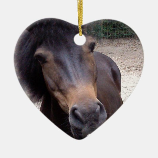 Dier, paard, Pony Keramisch Ornament (Voorkant)