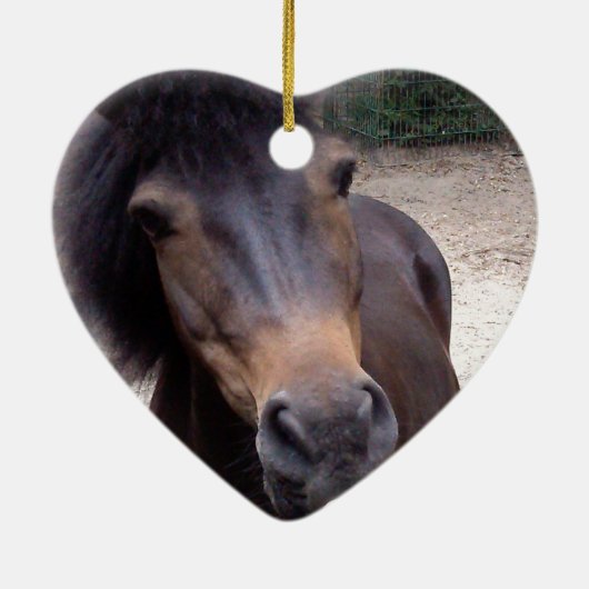 Dier, paard, Pony Keramisch Ornament (Achterkant)