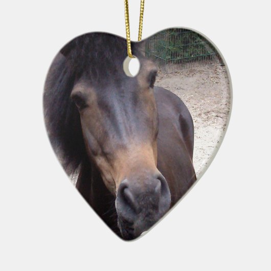 Dier, paard, Pony Keramisch Ornament (Links)