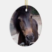 Dier, paard, Pony Keramisch Ornament (Rechts)