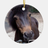 Dier, paard, Pony Keramisch Ornament (Voorkant)