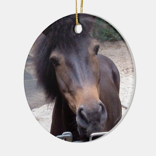 Dier, paard, Pony Keramisch Ornament (Links)