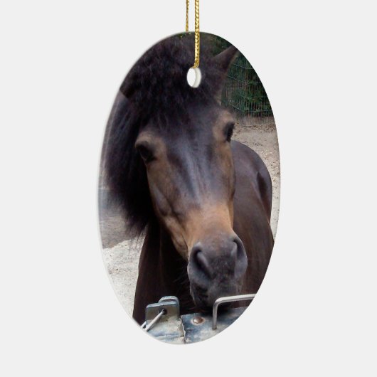 Dier, paard, Pony Keramisch Ornament (Rechts)