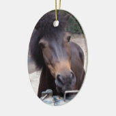 Dier, paard, Pony Keramisch Ornament (Links)
