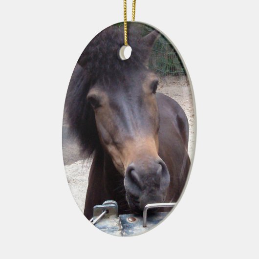 Dier, paard, Pony Keramisch Ornament (Links)