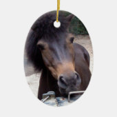 Dier, paard, Pony Keramisch Ornament (Voorkant)