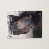 Dier, paard, Pony Legpuzzel (Horizontaal)