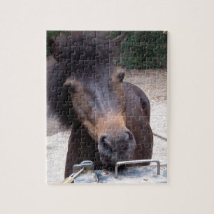 Dier, paard, Pony Legpuzzel