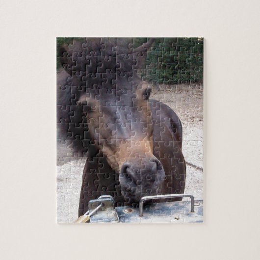 Dier, paard, Pony Legpuzzel (Verticaal)