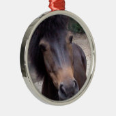 Dier, paard, Pony Metalen Ornament (Rechts)