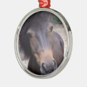 Dier, paard, Pony Metalen Ornament (Links)