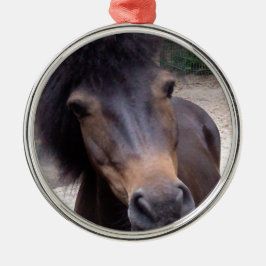 Dier, paard, Pony Metalen Ornament