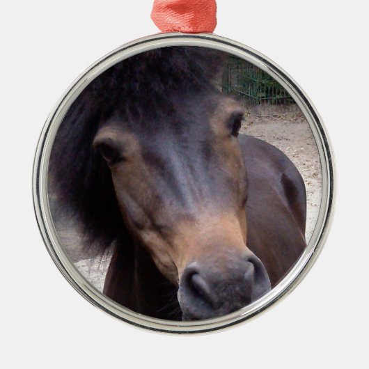 Dier, paard, Pony Metalen Ornament (Voorkant)