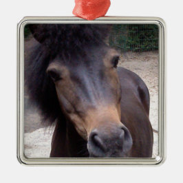 Dier, paard, Pony Metalen Ornament