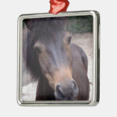 Dier, paard, Pony Metalen Ornament (Links)
