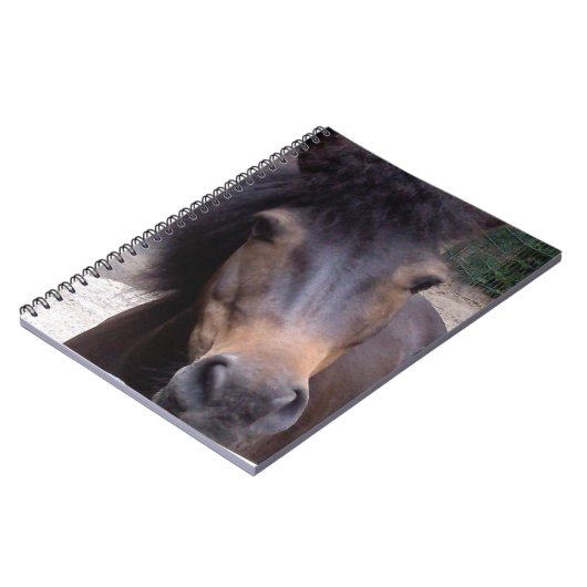 Dier, paard, Pony Notitieboek (Linkerzijde)