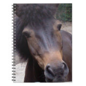 Dier, paard, Pony Notitieboek (Voorkant)