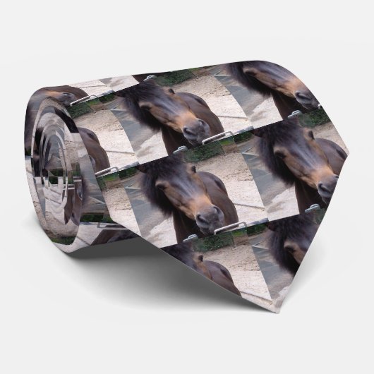 Dier, paard, Pony Stropdas (Opgerold)