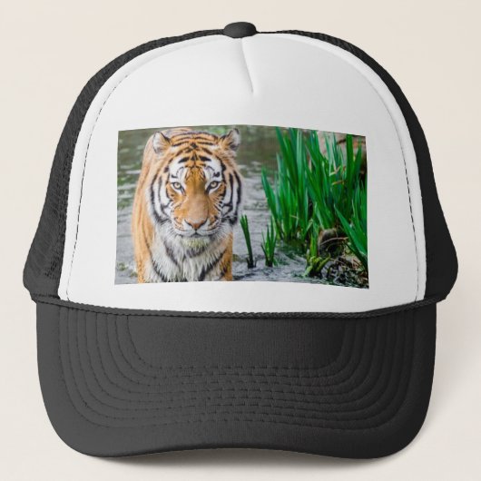 Dier, pet, te koop! trucker pet (Voorkant)