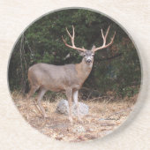 Dier reeks-Deer Onderzetter (Voorkant)