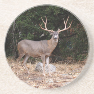 Dier reeks-Deer Onderzetter