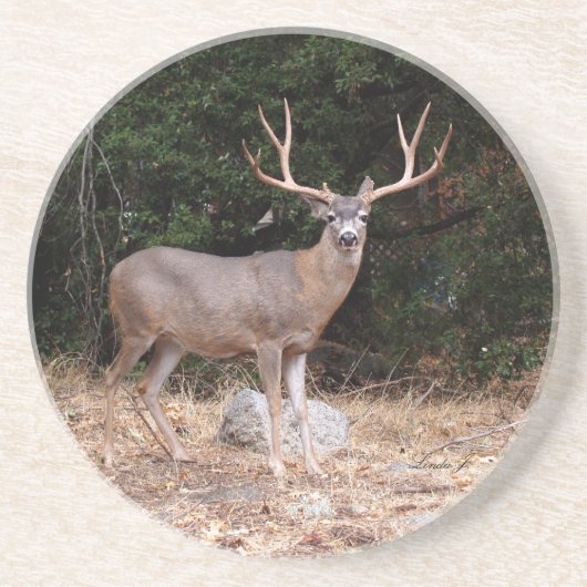 Dier reeks-Deer Onderzetter (Voorkant)