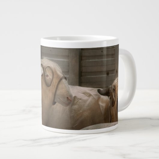 Dier - Schaap - De Orde Grote Koffiekop (Voorkant rechts)